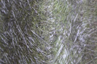 Partington fibreglass roof work